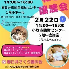 チャリティーバザー&猫の譲渡会