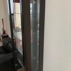 【お取引中】可動棚コレクションボックス　棚　の画像