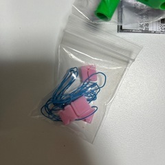 エコラボ6年電気利用の画像