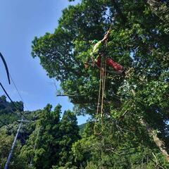 生活に支障がある樹木の伐採や耕作放棄地や空き家の草刈り
