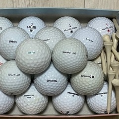 ゴルフボール20個・木ティー20本