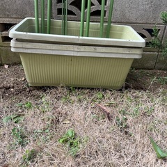 プランターと棒の画像