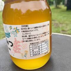 【百花蜜】はちみつ 600g 1瓶 蜂蜜 ハチミツ セイヨウミツバチ 鳥取県産の画像