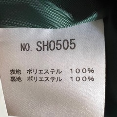 グリーンのワンピースの画像