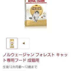 ロイヤルカナン 成猫用 キャットフードの画像