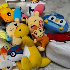 ポケモンぬいぐるみセットの画像