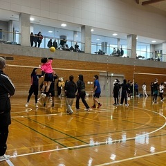 ソフトバレーボール メンバー募集🏐 - 高知市