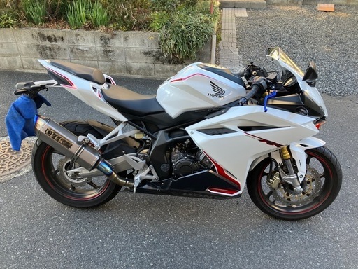 cbr250rr そのまま乗って帰れます cbr250rr そのまま乗って帰れます 【公式通販】