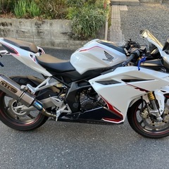 cbr250rr そのまま乗って帰れます の画像