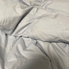 取引中【差し上げます】掛け布団の画像