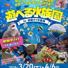 遊べる水族園 in 出島メッセ長崎