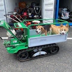 🌷【選べる中古耕運機】ISEKI Myペット600【耕運機/農機具 地域最大の買取アールワン田川】の画像