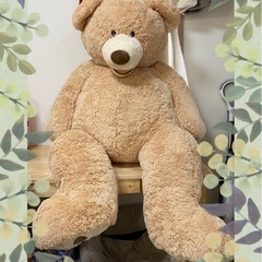 くまのぬいぐるみ（Costco）