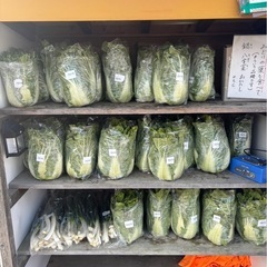 【朝採れ野菜‼️数量限定ネギ】