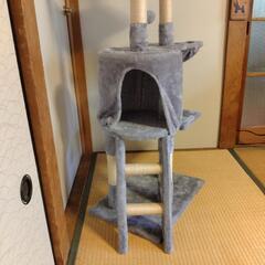 キャットタワーの画像