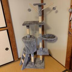 キャットタワーの画像