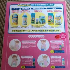 メダカ元気の画像
