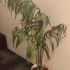 造花　観葉植物