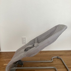 Richellバウンシングシートの画像