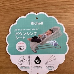Richellバウンシングシートの画像