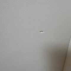 POLED プレイマット 140×230   の画像