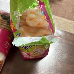 ペット用オムツ　女の子用の画像