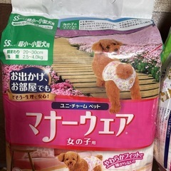 ペット用オムツ　女の子用の画像