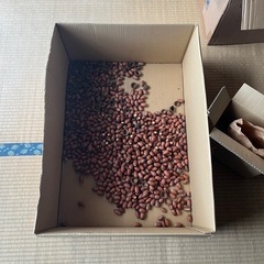 どんぐりアート