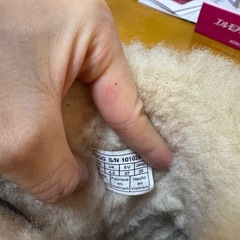 UGGの画像
