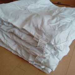 True Sleeper2枚合わせ掛け布団シングル②