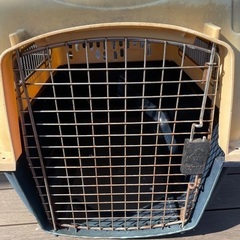 中古　ドッグケージ　中型犬用の画像