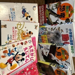 【お譲り先決まりましたm(_ _)m】図鑑、絵本、カードセットの画像