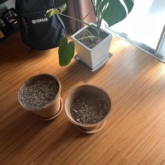値下げします。植木鉢　(鉢2受け皿2)