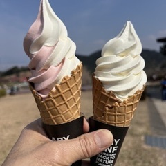 油山散策・山歩き・市民の森・ピクニック・モーモーランド・油山展望台など 観覧撮影募集‼️ - メンバー募集