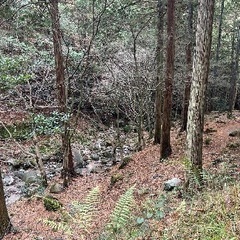 油山散策・山歩き・市民の森・ピクニック・モーモーランド・油山展望台など 観覧撮影募集‼️ - その他