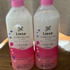 リーゼミントスプレー　詰替2本未使用