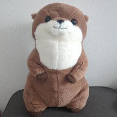 【譲ります】カワウソぬいぐるみ