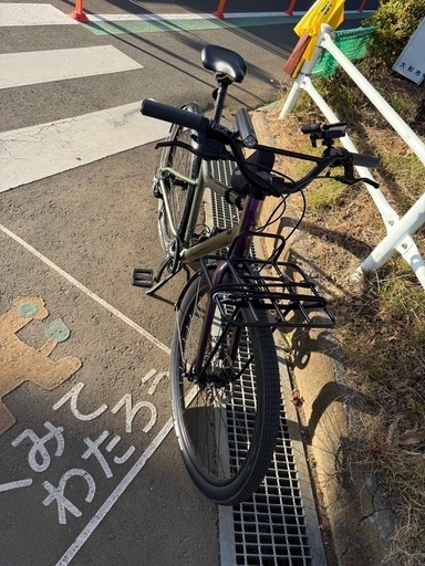 Treadwell3 カスタム　CANNONDALE MDサイズ