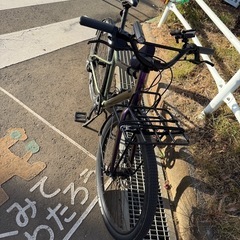 Treadwell3 カスタム　CANNONDALE MDサイズの画像