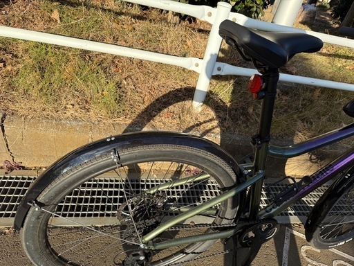 Treadwell3 カスタム　CANNONDALE MDサイズ