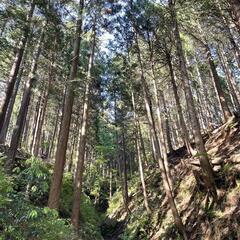 🏕キャンプ一緒に楽しみましょう🏕 - 友達