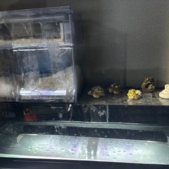 アクリル水槽　2段の画像