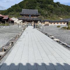 新バンド立ち上げ創立バンドメンバー募集