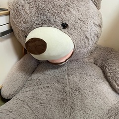 コストコのくま