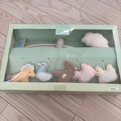 トラセリア　メリーの画像
