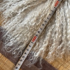 リアル　ムートンラグの画像