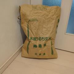 1点のみ レア BrightWin ポラロイド 写真）