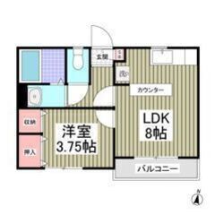 🌈😳フリーレント1ヶ月付き😳🌈駐車場空きあり🚗✨敷金0・礼金0・...