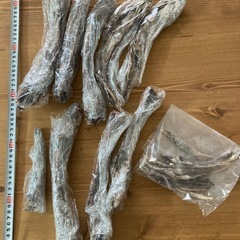 ペット用おやつ　鹿の骨