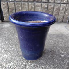陶器　植木鉢